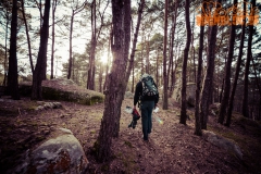 Fontainebleau, Bouldern, Bleau