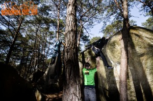 Fontainebleau