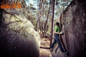 Fontainebleau